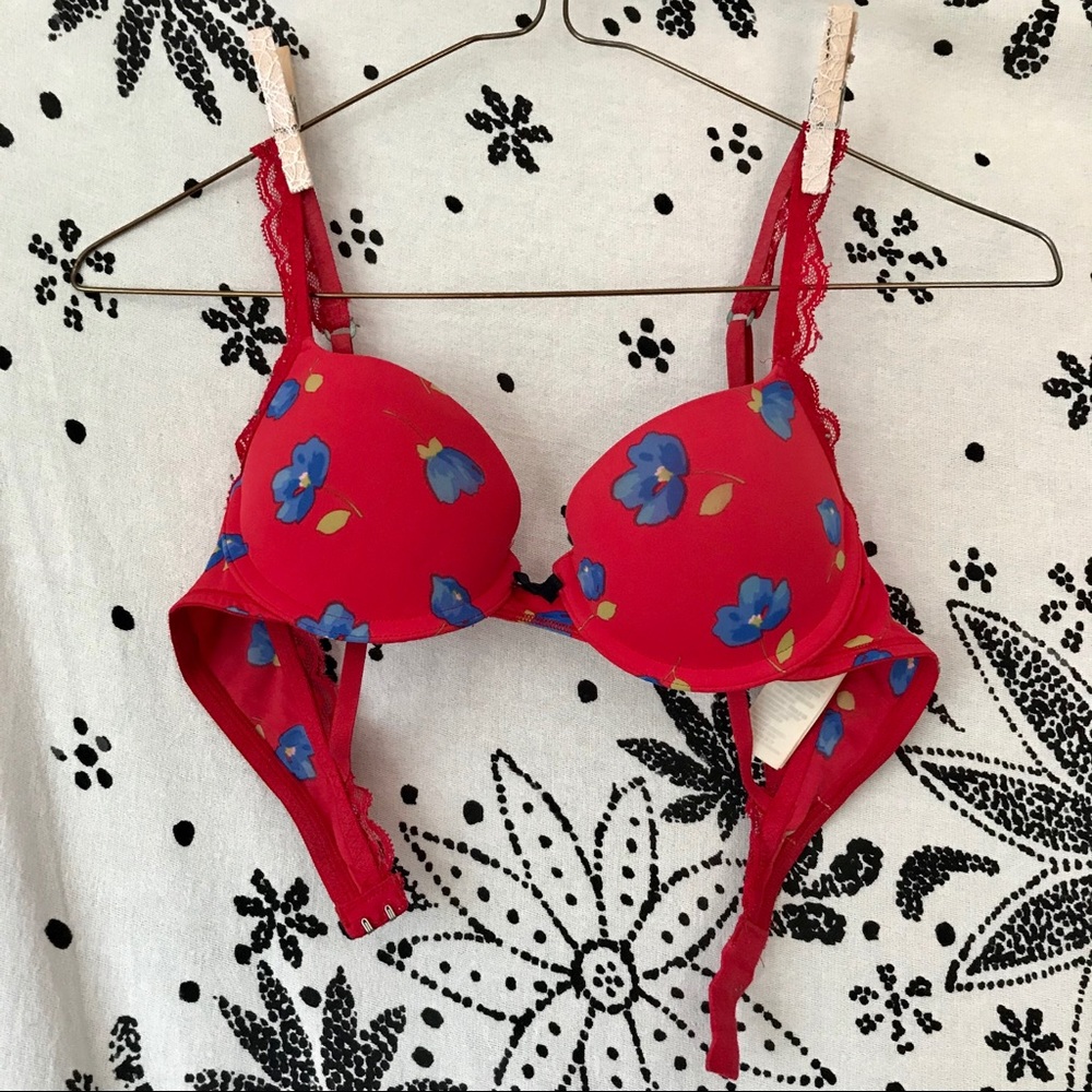 Gilly Hicks Red Floral Push-Up Bra with Blue Flowers